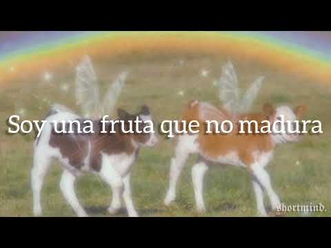 Comunmixta - Sol Pereyra // Letra