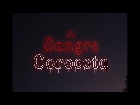 O.l.d.r.a.p - Sangre Corocota. (Videoclip).