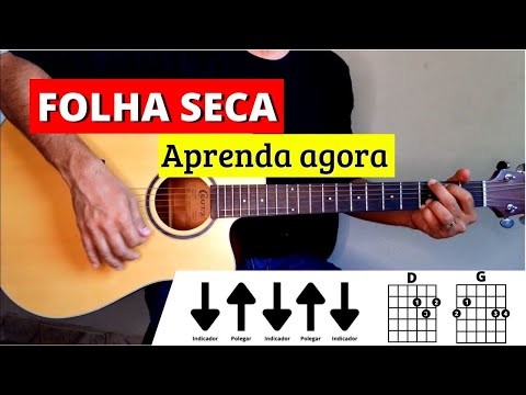 Folhas - Carócoroa