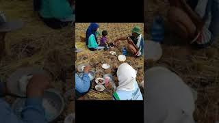 Download lagu SUASANA PEDESAAN JAMAN DULU , INDONESIA TEMPO DOELOE mp3 Download lagu SUASANA PEDESAAN JAMAN DULU , INDONESIA TEMPO DOELOE mp3