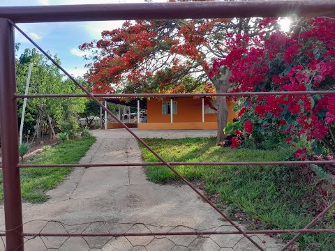Chácara a Venda em Minas Gerais - Zona Rural de Indaiabira - Próximo a Cidade de São João do Paraiso