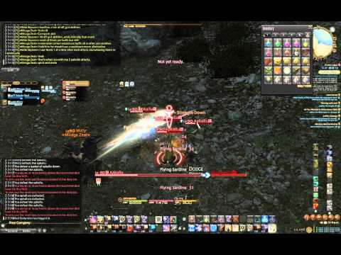 FFXIV Miraga / Apkallu Target Training 20140418