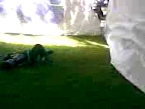 juanpis balls kicked