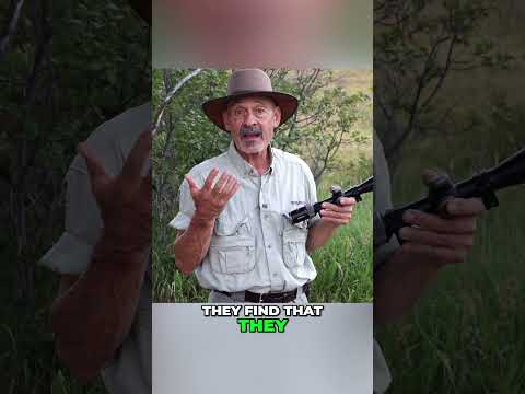 SCOPE MYTHS: More Magnification makes you shoot Better?