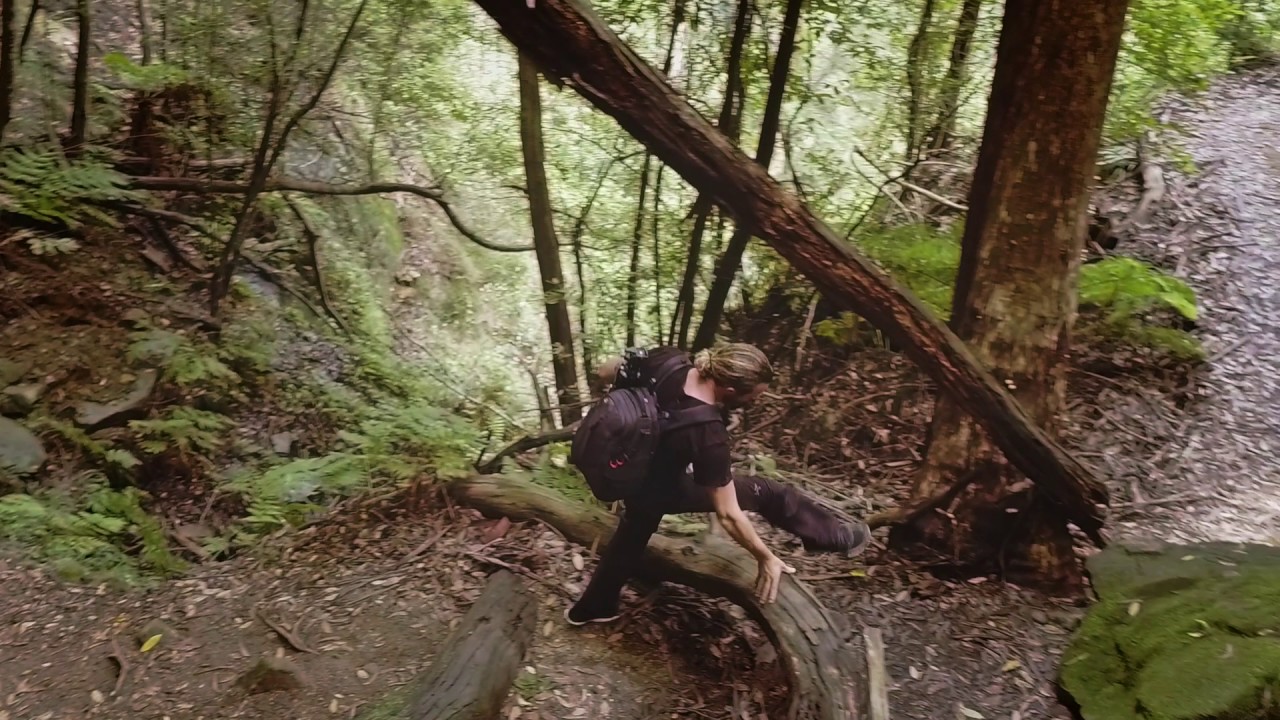 תיק גב - Manfrotto Pro Light camera backpack Bumblebee-130 for DSLR/CSC 3