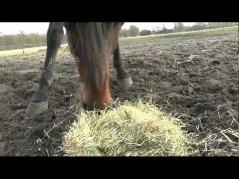 Victoria Park Wolvega, Uncut 21-03-2013 Part 1