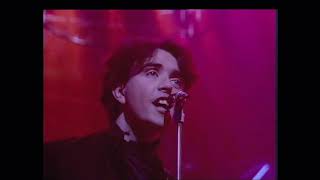 The Icicle Works - Love Is A Wonderful Colour (1983) video