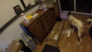 Snickerdoodle Three Hides 10.15.2025