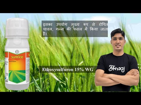Bayer Herbicide