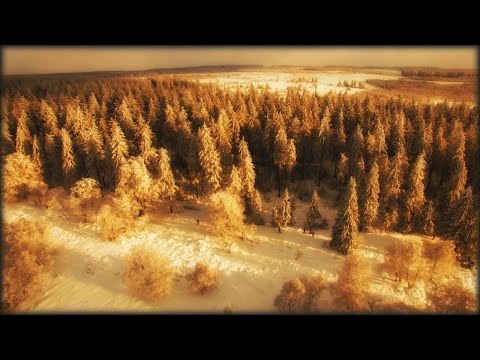 Winter in de Hoge Venen 4K
