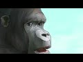 Ride Wife Life Good Animated