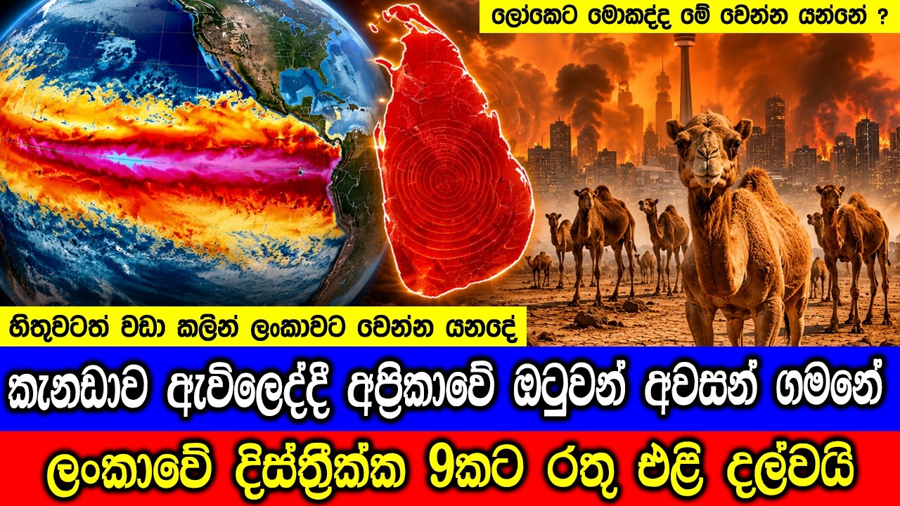 හිතුවාටත් වඩා කලින් ලංකාවට එන එල්නීනෝ! - Strong El Niño conditions could hi
