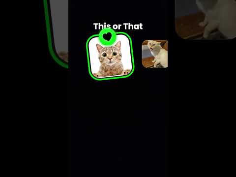 Which cat was your favourite