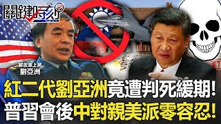 [討論] 關鍵時刻聊到中國將領劉亞洲死緩