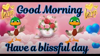 Good Morning Quotes,Good Morning Whatsapp Status,Good Morning Blessings,Good Morning Greetings,ECard