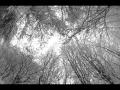 Vibracathedral Orchestra-Magnetic Burn