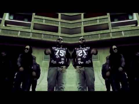 #DMS #LDL #Les dents longues