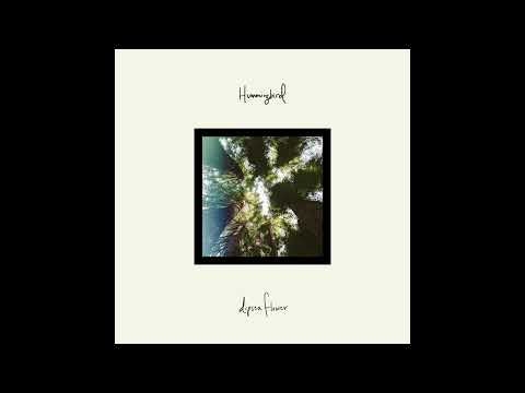 Hummingbird - Dipsea Flower
