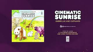 Cinematic Sunrise "Umbrellas and Elephants"
