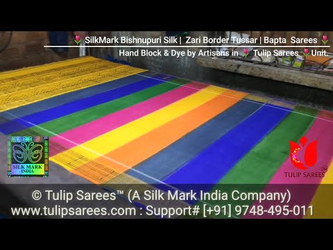 Zari border tussar silk block print saree