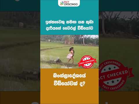 බංග්ලාදේශයේ කියලා වෛරල් වුනේ ඇත්තටම ලංකාවේ වීඩියෝවක්! 😲  Truth Behind Viral Porcupine Girl