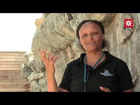 download lagu mp3 mp4 Soigneuse Animalire, download lagu Soigneuse Animalire gratis, unduh video klip Soigneuse Animalire