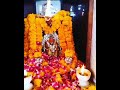 Ambaji Temple Status Ambe Maa Status Ambaji Ma Live Darshan Mojilu Morya
