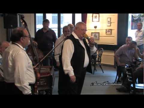 1 Petrică Moise la Sara Bănățană (iun.2012)