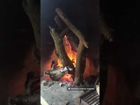 lechón a la parrilla - herradura Formosa