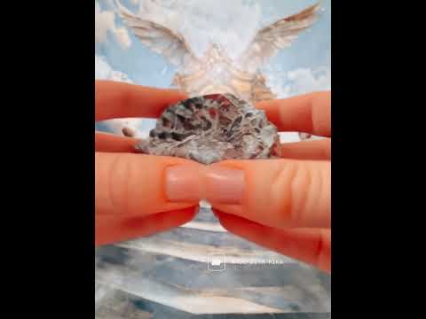 How to Move Instantly Bogdan Shows You! ⚡