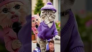 Download lagu kucing #kucing #cat mp3