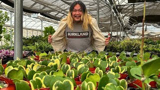 “It’s like Costco…for PLANTS!”