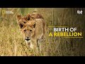 Birth of a Rebellion | Savage Kingdom | Full Episode | S4-E2 | Nat Geo Wild