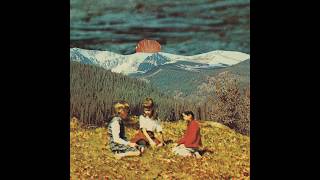 Orchid Mantis - Yellow House