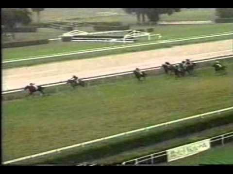 Shibuni's Falcon - Premio Roma (GR1)