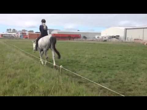 download lagu mp3 mp4 Chaos Xxx, download mp3 Chaos Xxx free download mp3, download mp3 Chaos Xxx