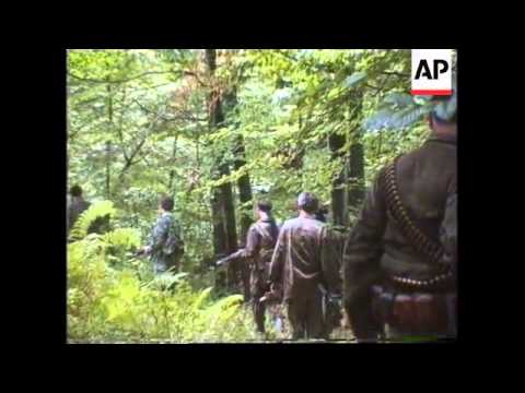 Bosnia - Bosnian Serb Action In Vozuca