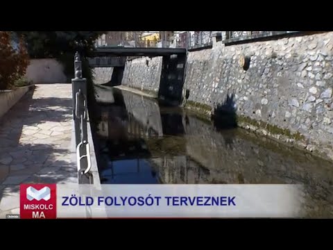 Videó előnézet