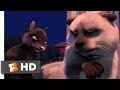 Over The Hedge Cat Vs Skunk Fandango Family