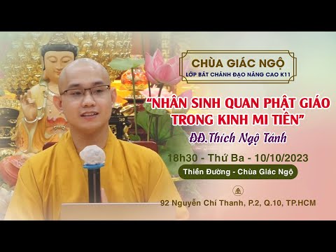 Nhân sinh quan Phật giáo trong Kinh Mi Tiên - Thầy Ngộ Tánh giảng lớp Bát Chánh đạo nâng cao K11