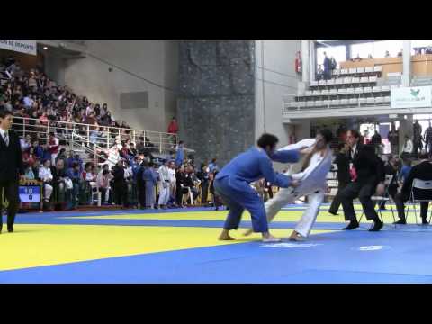 DAVID FLECHA (GAL)-SERGIO SANZ (MAD) -73 KG