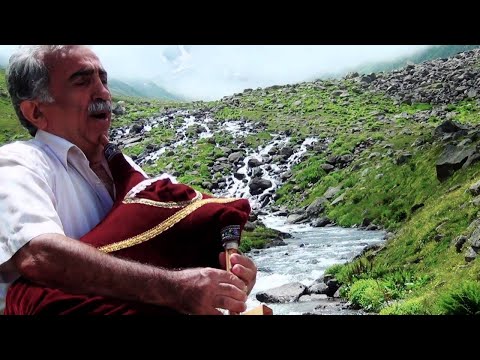 YAŞAR BİLDİREN SIRA SIRA ÇAMLARIN