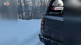 Yaban Hayvanları İçin Dağa Çıktı, İki Geyikle Karşılaştı