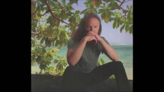 Timothy B  Schmit "Goodbye My Love"