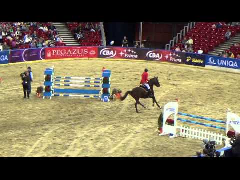 Magyar Ló Kupa 2014. Mraz Tamas & Raketa Remeny osszevetes