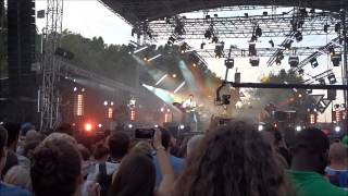 Cats on trees - 14 juilet 2015 @Toulouse