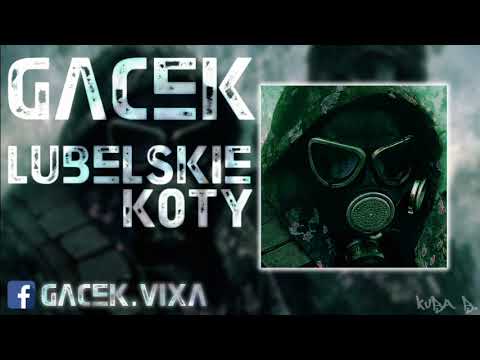 GACEK LUBELSKIE KOTY !!!
