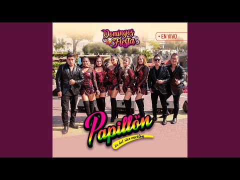 Mix Selva:isla Bonita / Gata Bajo la Lluvia / Mal Amor (En Vivo)