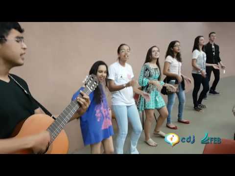 Novo Rumo video