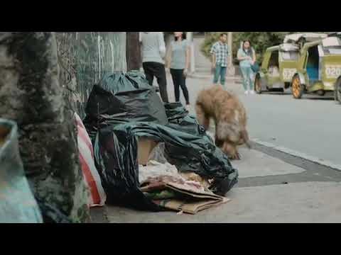 DOGS DO SPEAK...But only to those who know how to listen!!